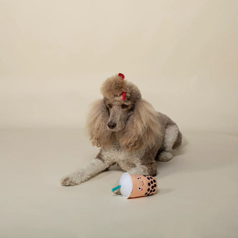 Fringe Studio Plush Squeaker Dog Toy - It's Boba Time