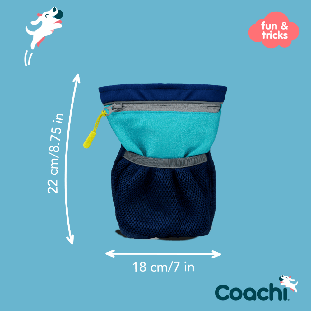 Pro Training Dog Treat Bag Navy Light Blue
