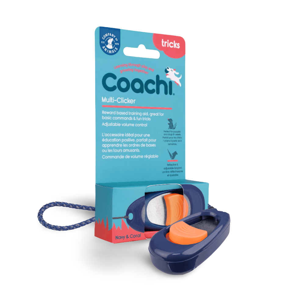 Dog Multi Clicker Navy