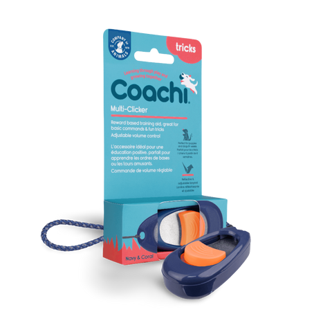 Dog Multi Clicker Navy