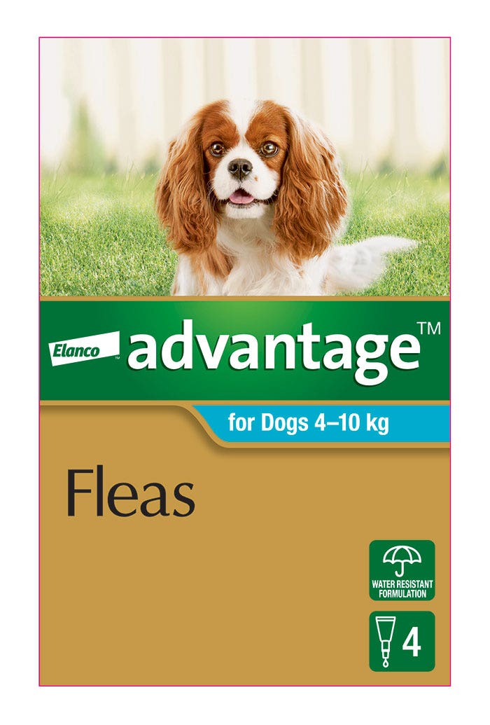 Advantage Aqua for Medium Dog