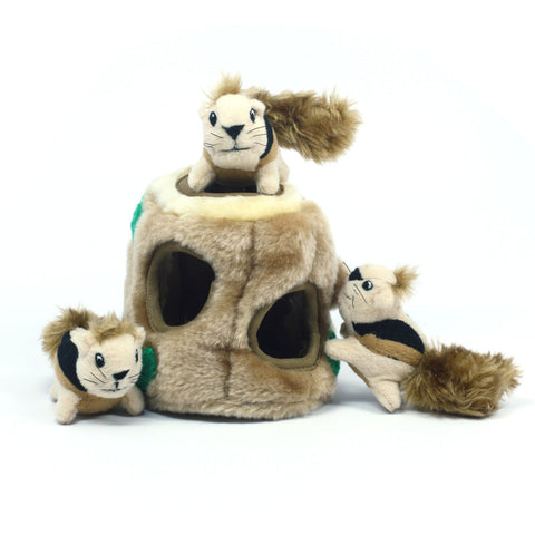 Outward Hound Hide-A-Squirrel Dog Toy - Small | petsome Pet Supplies