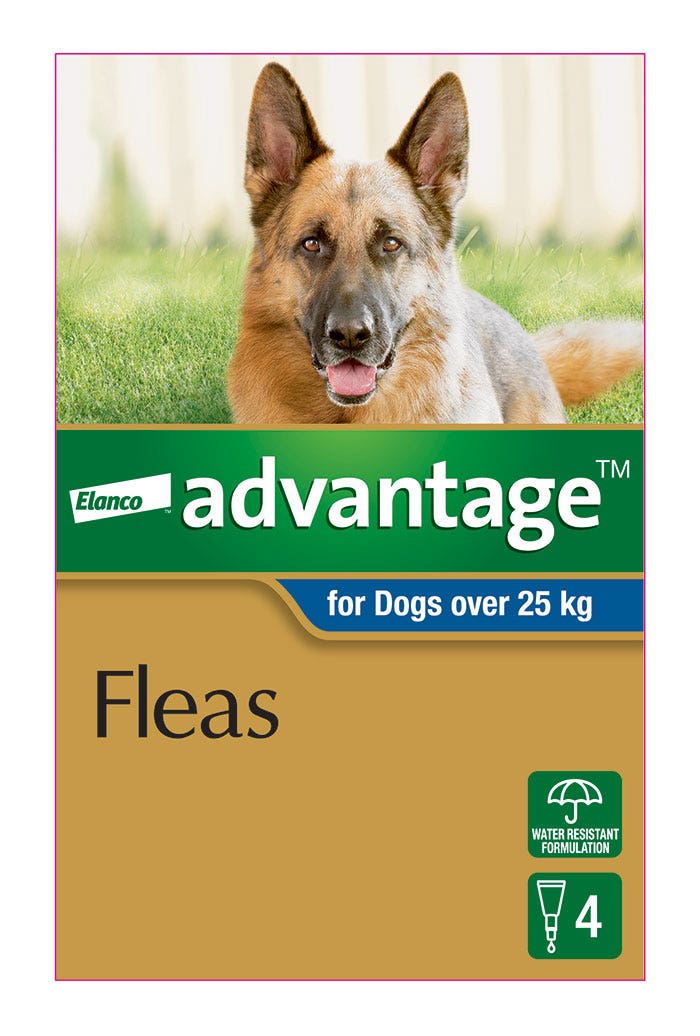 Advantage Blue for Extra Large Dog
