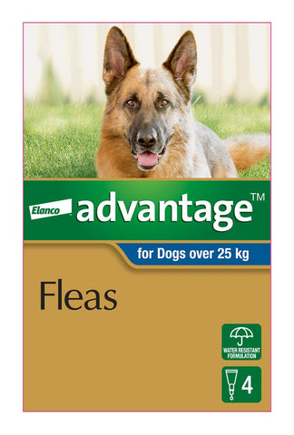 Advantage Blue for Extra Large Dog
