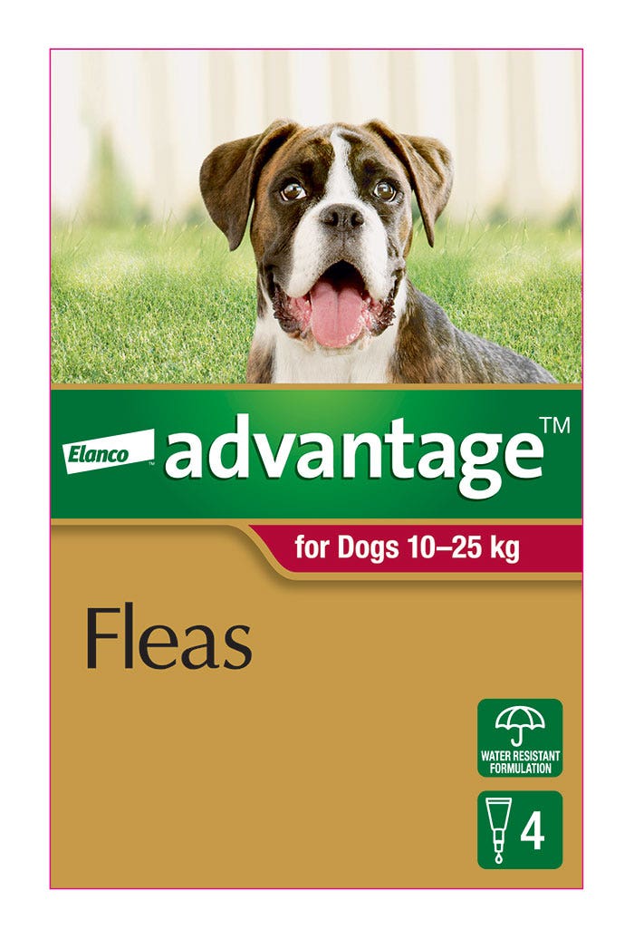 Advantage Red for Large Dog