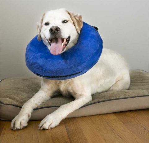 KONG Recovery Cloud Dog Collar