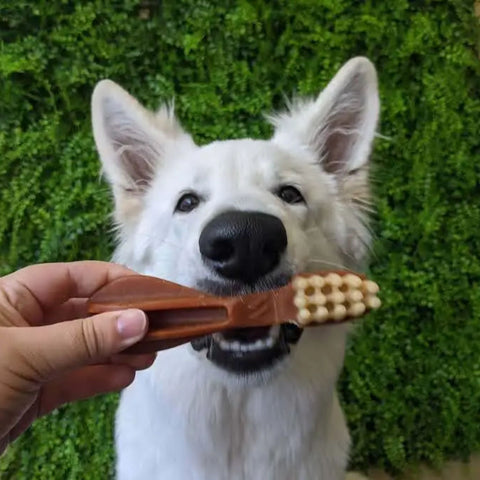 Whimzees Dental Dog Treats Toothbrush