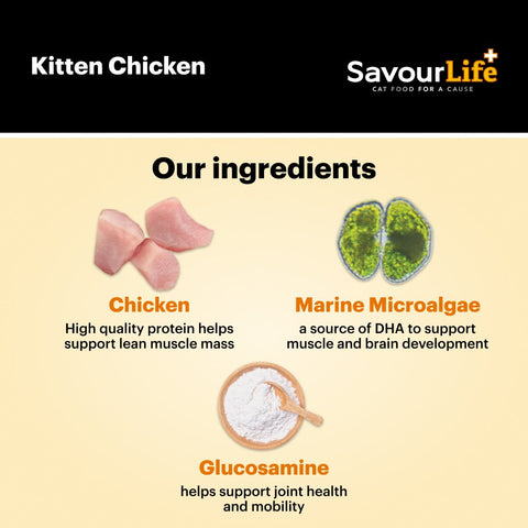 Chicken Kitten Dry Cat Food