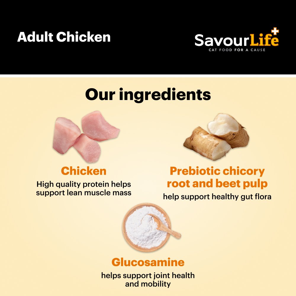 Chicken Adult Dry Cat Food