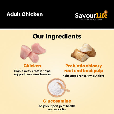 Chicken Adult Dry Cat Food