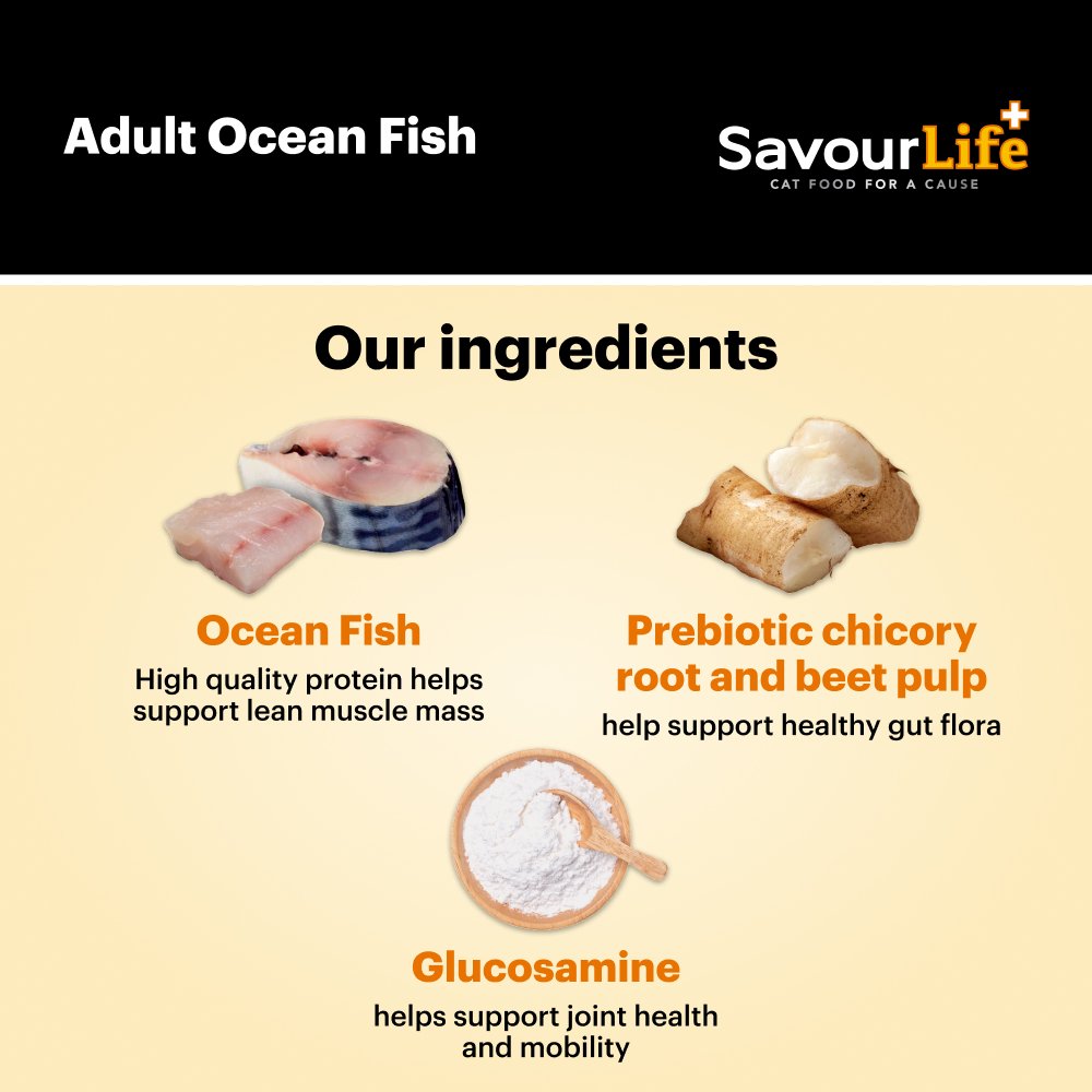 Ocean Fish Adult Dry Cat Food