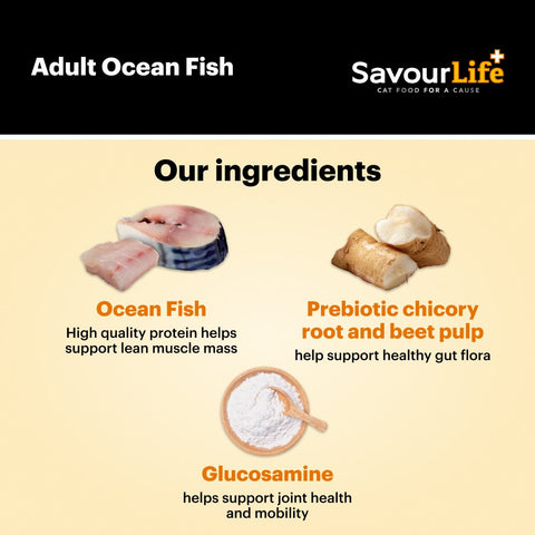 Ocean Fish Adult Dry Cat Food