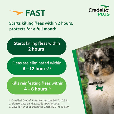 Credelio Plus for Large Dogs 11-22kg