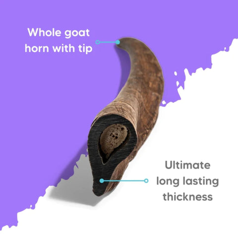The Pet Project Natural Dog Treats Goat Horn
