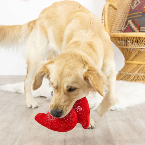 Fringe Studio Rope & Plush Squeaker Valentine's Day Dog Toy - Besties 4Ever