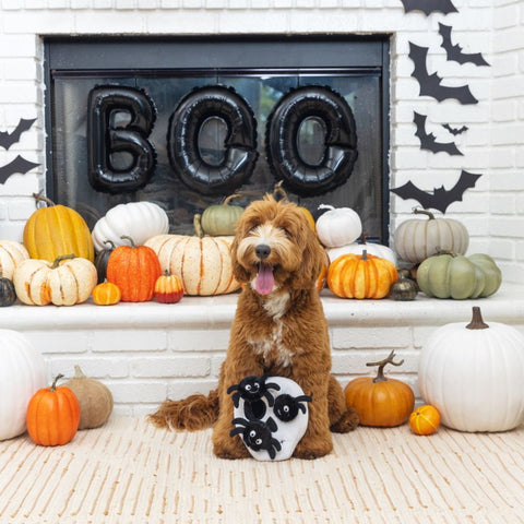 Fringe Studio Halloween Plush Squeaker Dog Toy - Skull Burrow + 3 Spiders