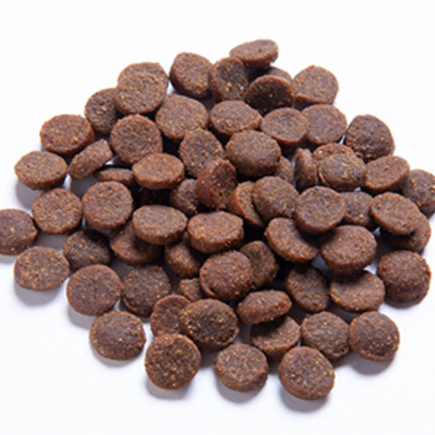 Blackdog Adult Dry Dog Food Ocean Fish & Salmon