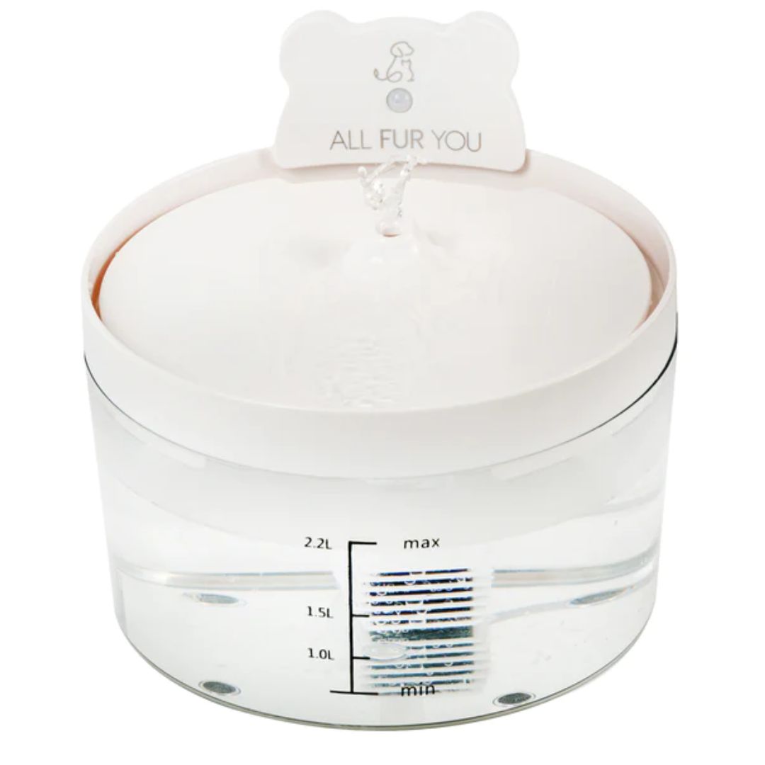 All Fur You Auto Sensor Water Fountain - | petsome Pet Supplies