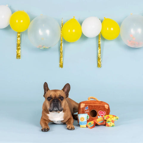 Fringe Studio Plush Squeaker Dog Toy - Pack Your Bags