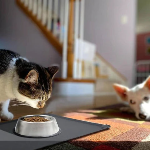 All Fur You Silicone Pet Feeding Mat