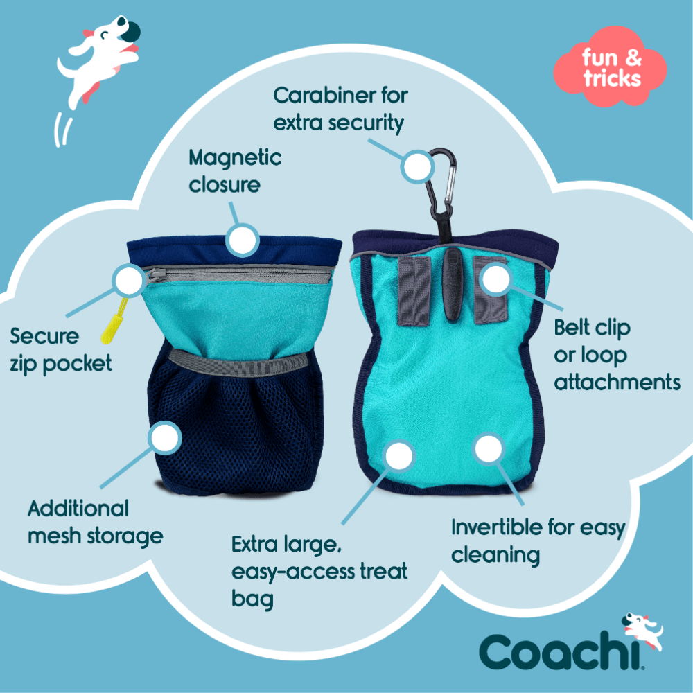 Pro Training Dog Treat Bag Navy Light Blue