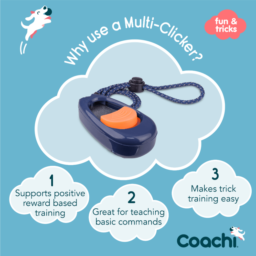 Dog Multi Clicker Navy