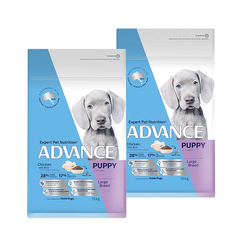 ADVANCE Puppy Large Breed Dry Dog Food Chicken with Rice