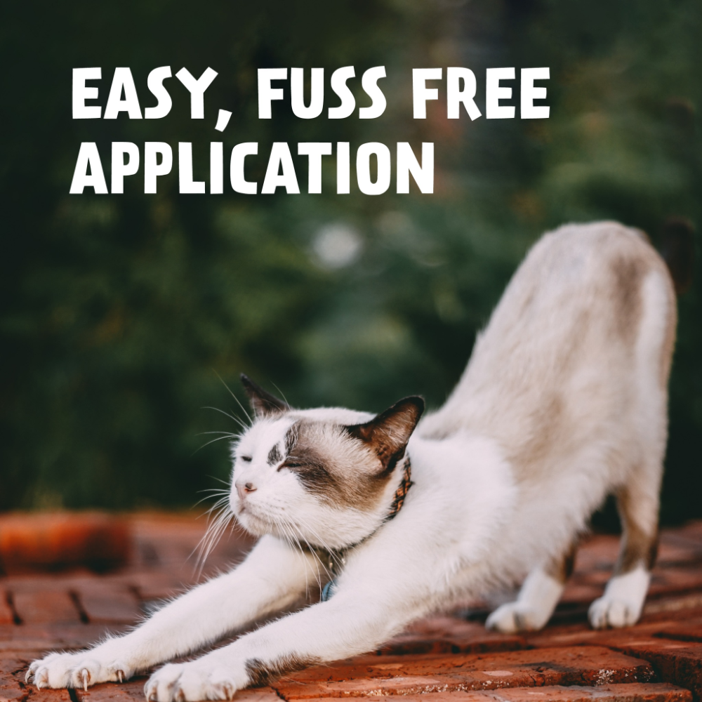 Spot On Allwormer Blue for Medium Cats