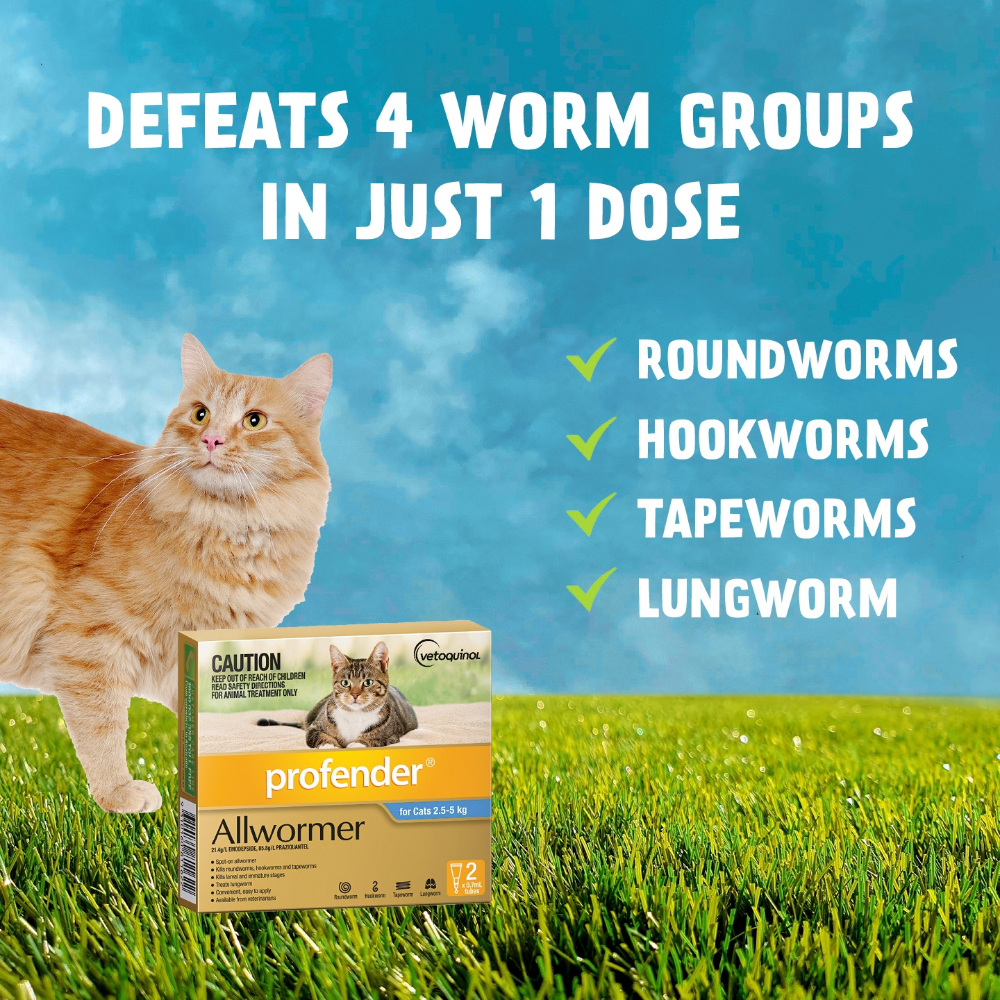 Spot On Allwormer Blue for Medium Cats