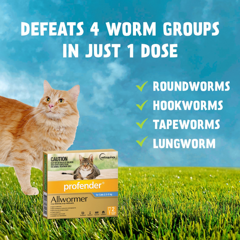 Spot On Allwormer Blue for Medium Cats