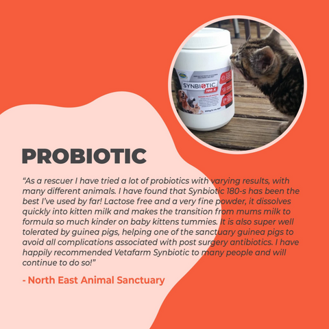Synbiotic 180 S Probiotics for All Animals
