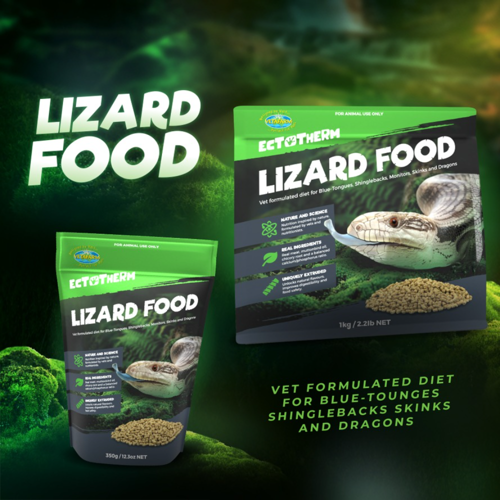 Ectotherm Lizard Food