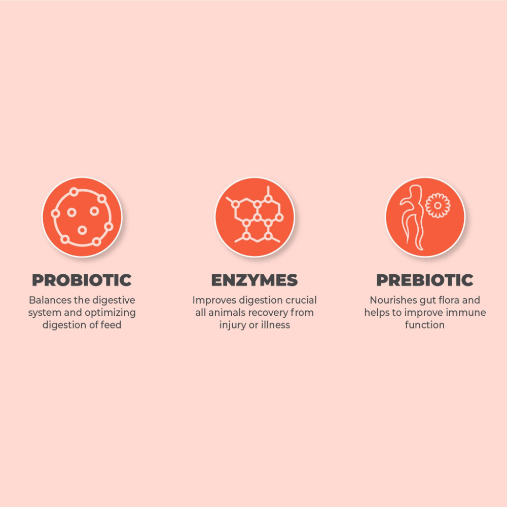 Synbiotic 180 S Probiotics for All Animals