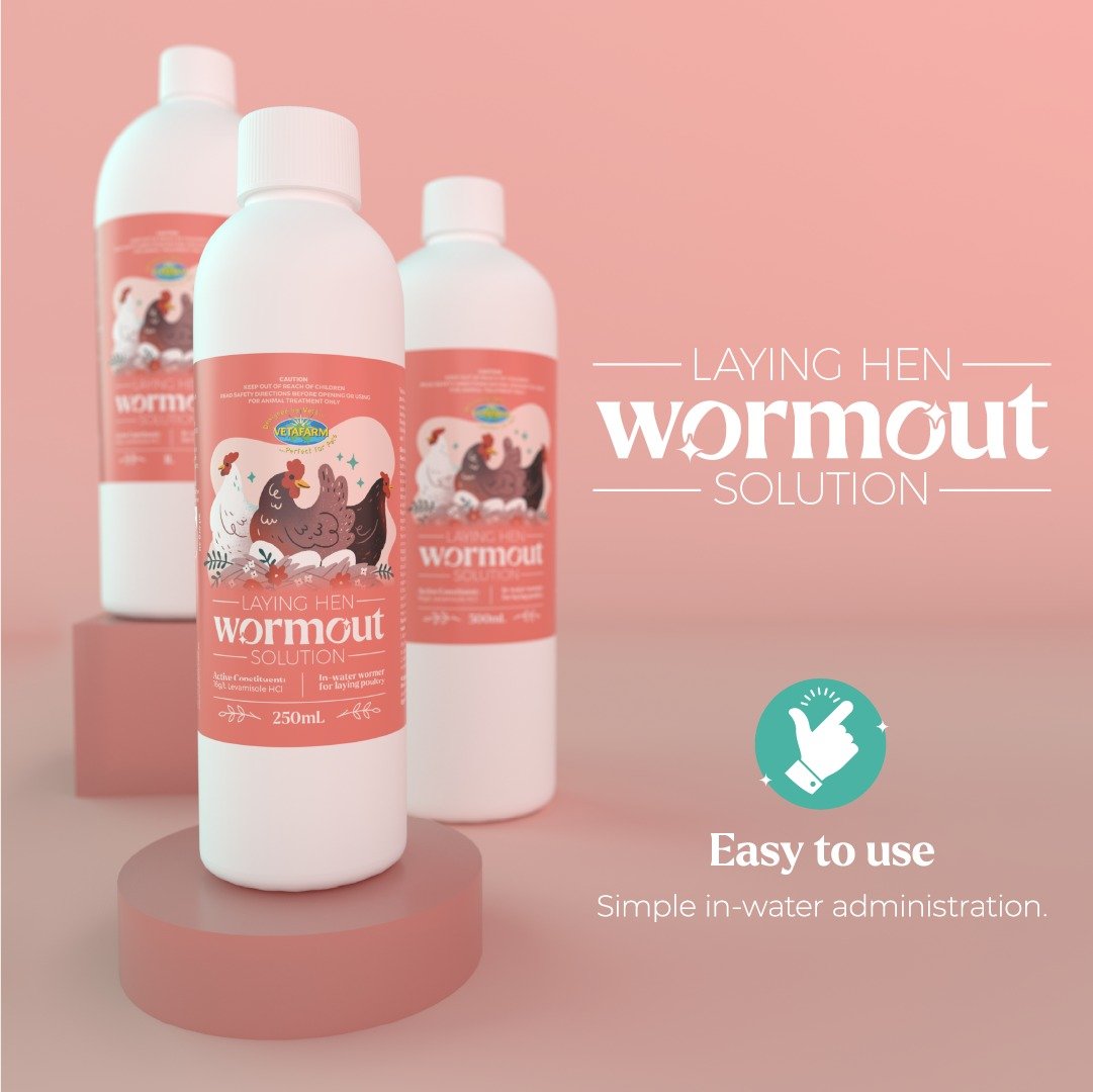 Laying Hen Wormout Solution