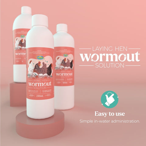 Laying Hen Wormout Solution