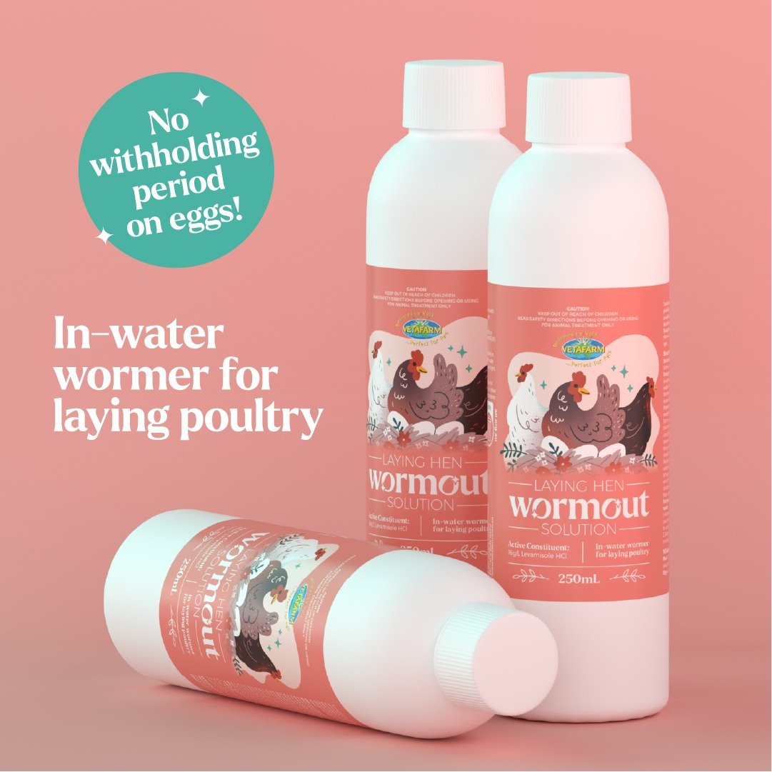 Laying Hen Wormout Solution