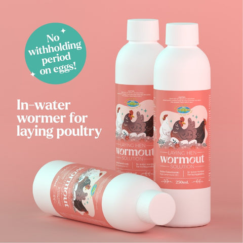 Laying Hen Wormout Solution