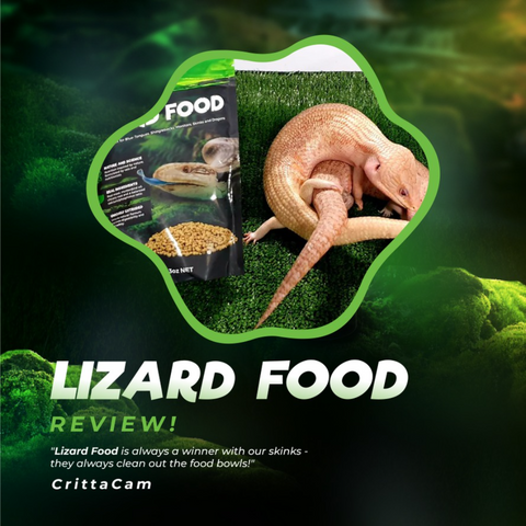 Ectotherm Lizard Food