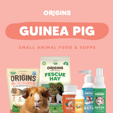 Cavy Origins Adult Guinea Pig Food