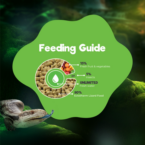 Ectotherm Lizard Food