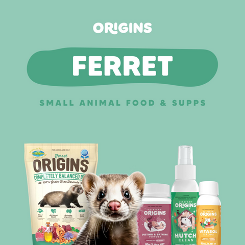 Origins Ferret Food