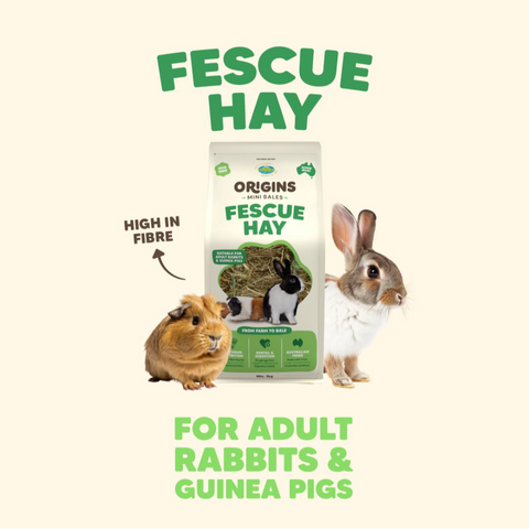 Origins Mini Bale Fescue Hay for Small Pets