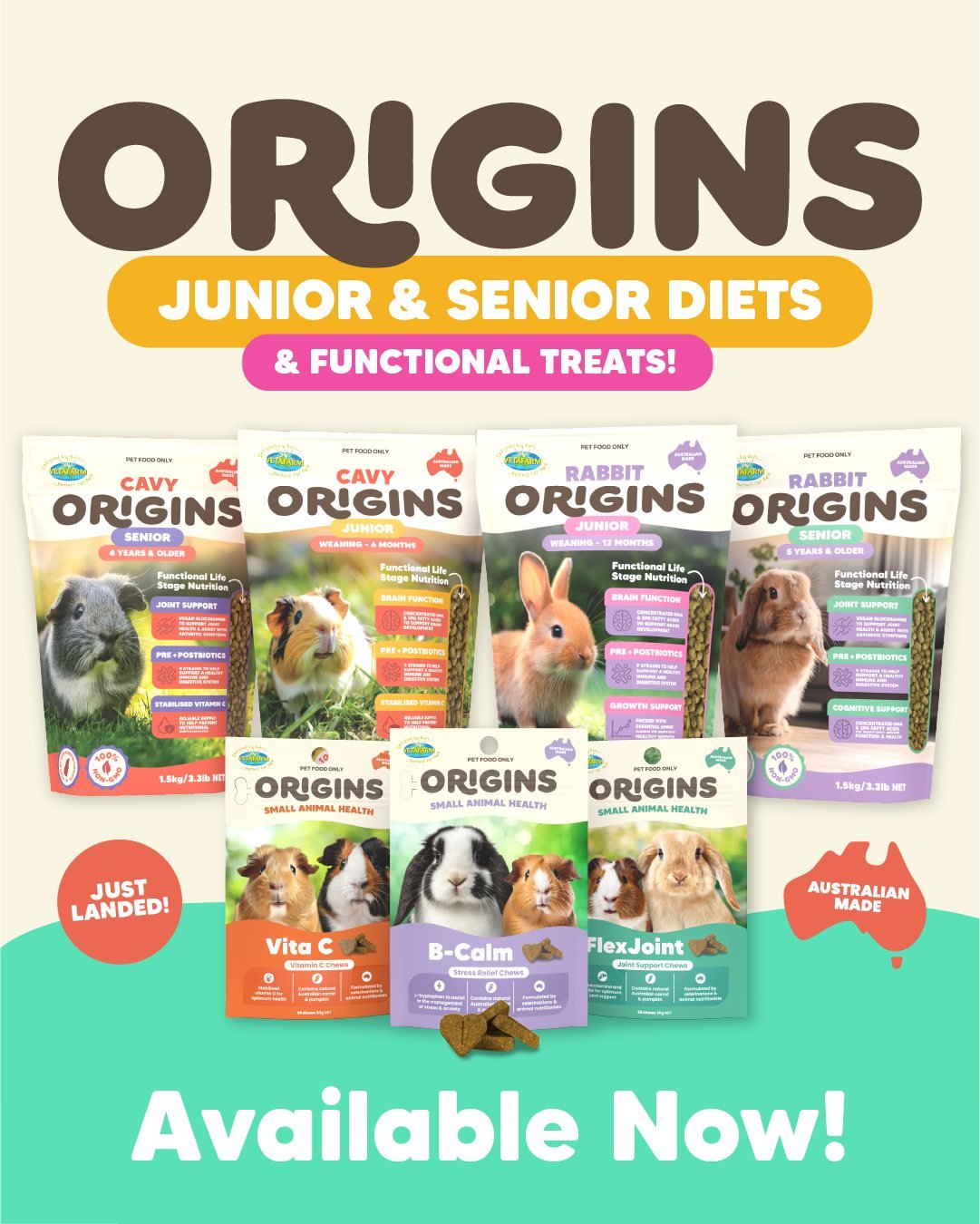 Origins Vita C Chews For Guinea Pigs