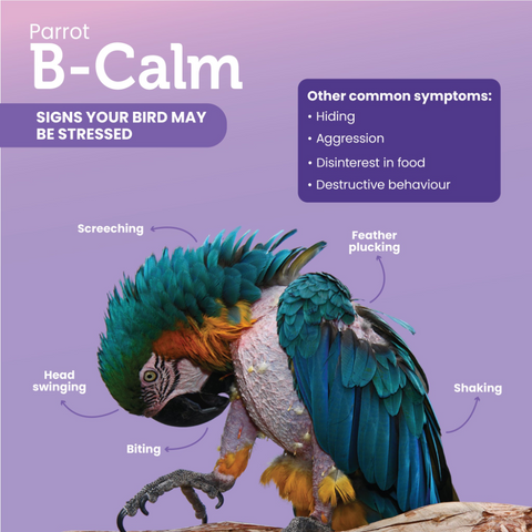 Parrot B Calm Bird Pellets