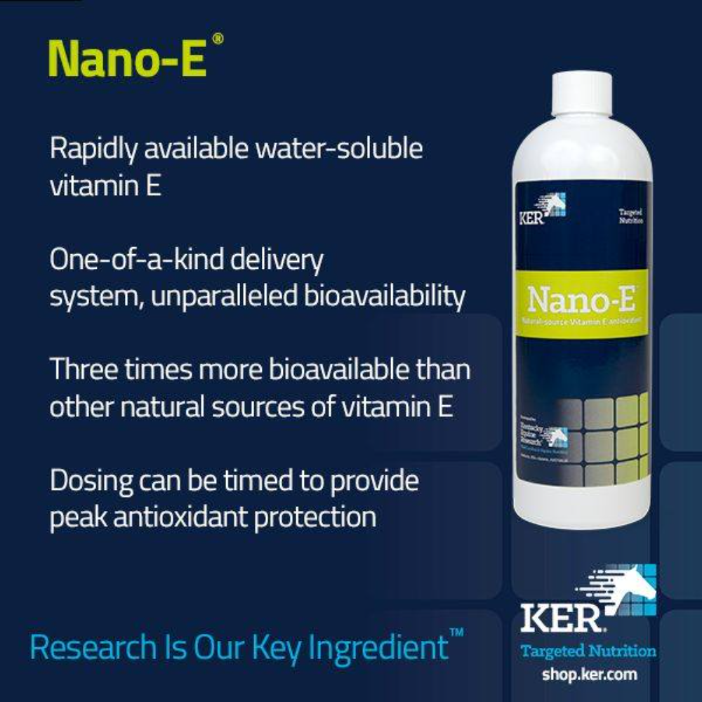 Nano E Liquid Vitamin E Supplement for Horses