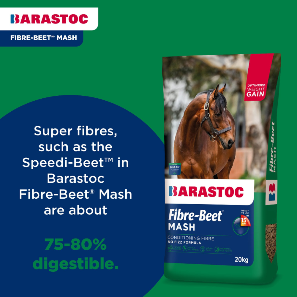 Fibre Beet Mash Conditioning Horse Feed