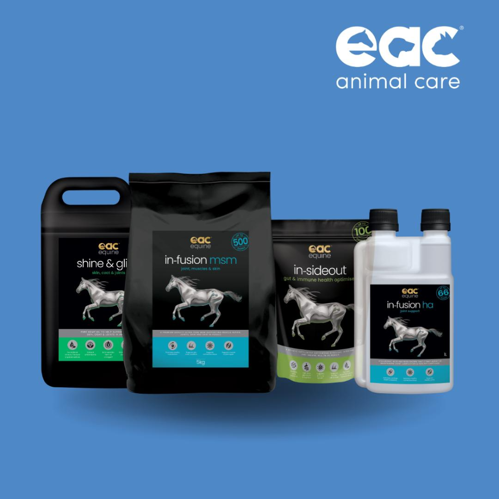 Shine & Glide Hemp Oil For Dogs Cats And Horses