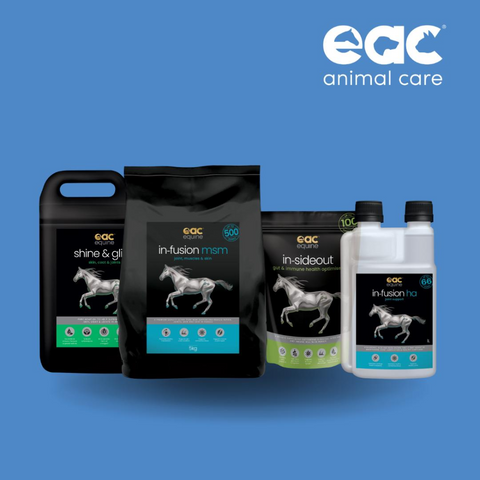 Shine & Glide Hemp Oil For Dogs Cats And Horses