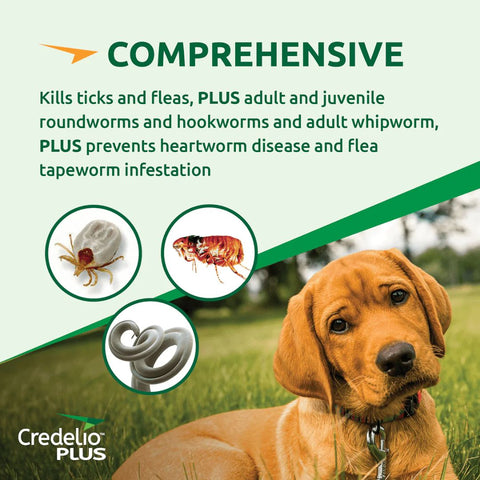 Credelio Plus for Large Dogs 11-22kg