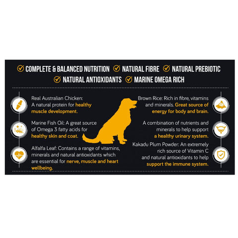 Talentail Dry Adult Dog Food Chicken with Brown Rice